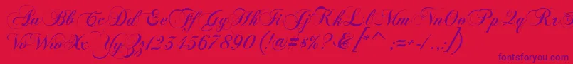 FlaemischeKanzleischrift Font – Purple Fonts on Red Background