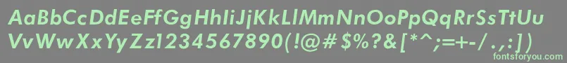 FuturaBookBoldItalic Font – Green Fonts on Gray Background