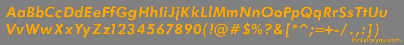 FuturaBookBoldItalic Font – Orange Fonts on Gray Background