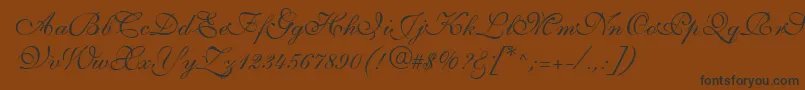 S721ScriptThreeRegular Font – Black Fonts on Brown Background