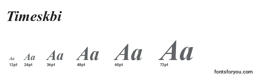 Timeskbi Font Sizes