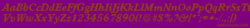 WorcesterserialXboldItalic Font – Brown Fonts on Purple Background