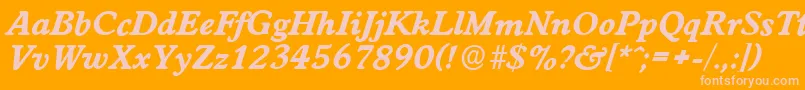 WorcesterserialXboldItalic Font – Pink Fonts on Orange Background