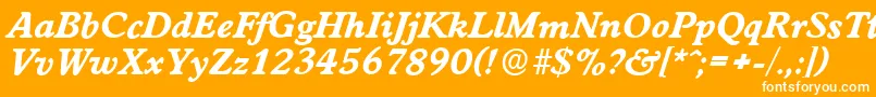 WorcesterserialXboldItalic Font – White Fonts on Orange Background