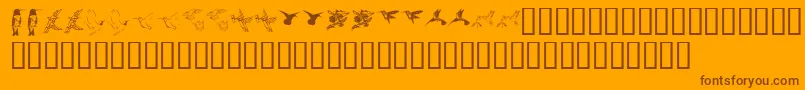 フォントKr Renees Hummingbirds Two – オレンジの背景に茶色のフォント