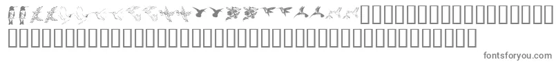 Шрифт Kr Renees Hummingbirds Two – серые шрифты на белом фоне