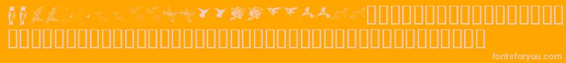Kr Renees Hummingbirds Two Font – Pink Fonts on Orange Background