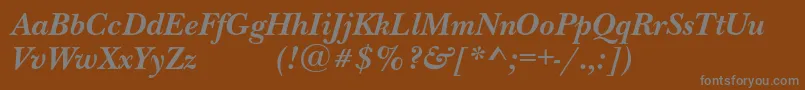 NewbaskervilleexpodcBolditalic Font – Gray Fonts on Brown Background
