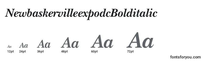 NewbaskervilleexpodcBolditalic Font Sizes