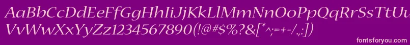 NuevastdExtendeditalic Font – Pink Fonts on Purple Background