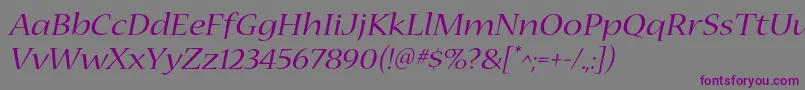Шрифт NuevastdExtendeditalic – фиолетовые шрифты на сером фоне