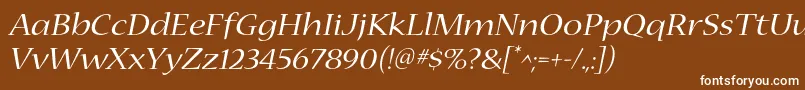 NuevastdExtendeditalic Font – White Fonts on Brown Background