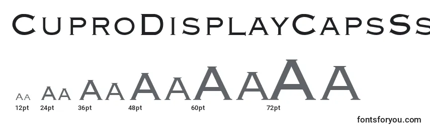Размеры шрифта CuproDisplayCapsSsi