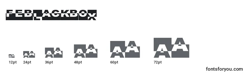 FeBlackBox Font Sizes