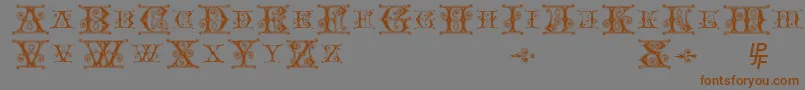 BlavickeCapitalsSemiExpandedRegular Font – Brown Fonts on Gray Background