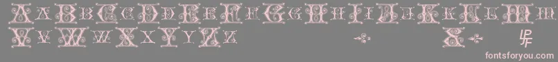 BlavickeCapitalsSemiExpandedRegular Font – Pink Fonts on Gray Background