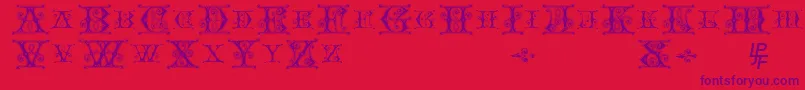 BlavickeCapitalsSemiExpandedRegular Font – Purple Fonts on Red Background