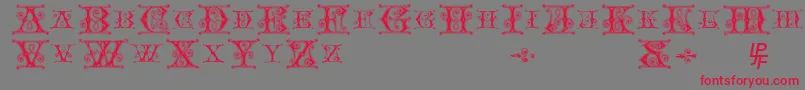BlavickeCapitalsSemiExpandedRegular-Schriftart – Rote Schriften auf grauem Hintergrund