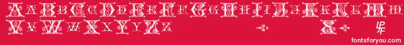 BlavickeCapitalsSemiExpandedRegular Font – White Fonts on Red Background
