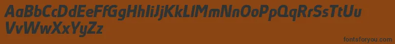 AbsolutProBoldItalicReduced Font – Black Fonts on Brown Background