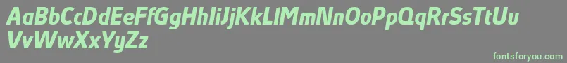 AbsolutProBoldItalicReduced Font – Green Fonts on Gray Background
