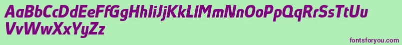 AbsolutProBoldItalicReduced Font – Purple Fonts on Green Background
