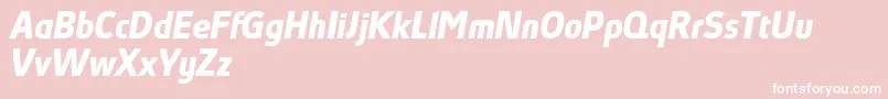 AbsolutProBoldItalicReduced Font – White Fonts on Pink Background