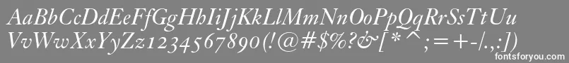 KisoscbtItalic Font – White Fonts on Gray Background