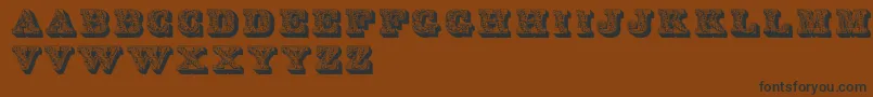 LettresOmbreesOrnees Font – Black Fonts on Brown Background