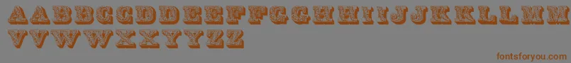 LettresOmbreesOrnees Font – Brown Fonts on Gray Background