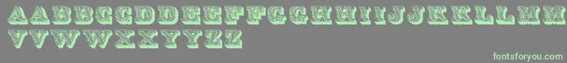 LettresOmbreesOrnees-Schriftart – Grüne Schriften auf grauem Hintergrund