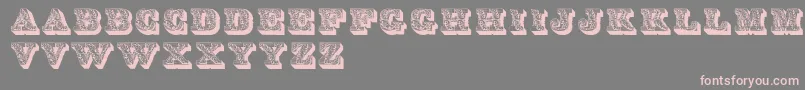 LettresOmbreesOrnees Font – Pink Fonts on Gray Background