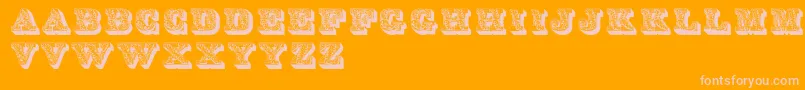 LettresOmbreesOrnees Font – Pink Fonts on Orange Background