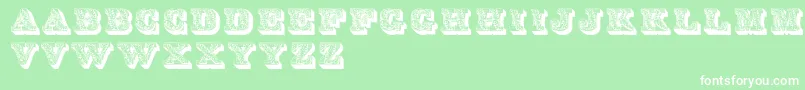 フォントLettresOmbreesOrnees – 緑の背景に白い文字