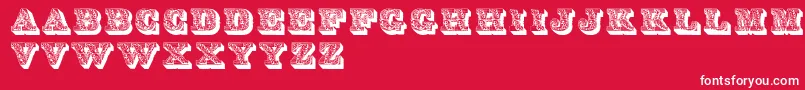 LettresOmbreesOrnees Font – White Fonts on Red Background