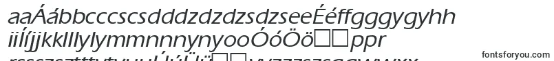 Шрифт ErgoemediumItalic – венгерские шрифты