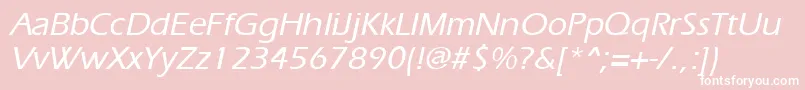 ErgoemediumItalic Font – White Fonts on Pink Background