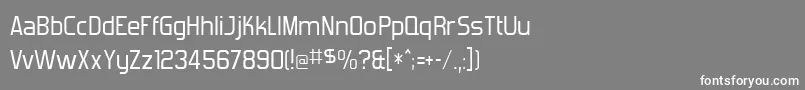 フォントForgotte – 灰色の背景に白い文字