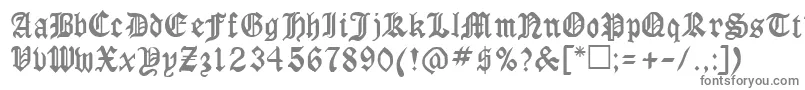 フォントRingyoRegular – 白い背景に灰色の文字