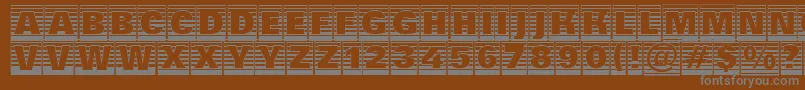 フォントAGroticttlcmgdstrhv – 茶色の背景に灰色の文字