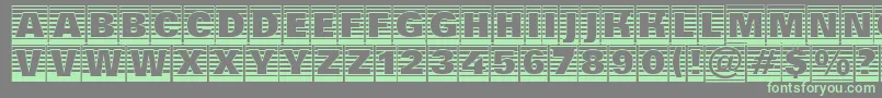 AGroticttlcmgdstrhv Font – Green Fonts on Gray Background