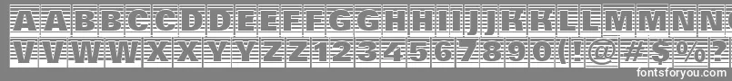 フォントAGroticttlcmgdstrhv – 灰色の背景に白い文字