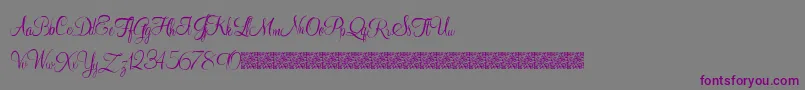 Youngranger Font – Purple Fonts on Gray Background