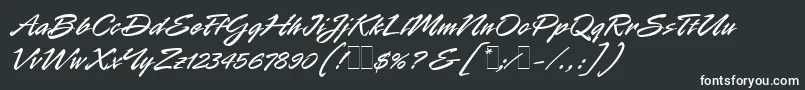 RapierLetLetPlain.1.0 Font – White Fonts on Black Background