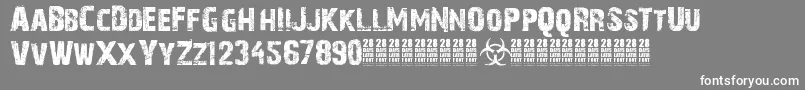 28DaysLater Font – White Fonts on Gray Background