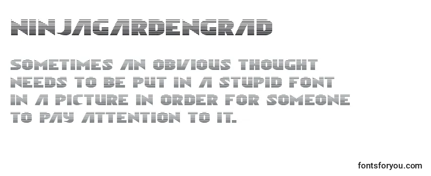 Обзор шрифта Ninjagardengrad
