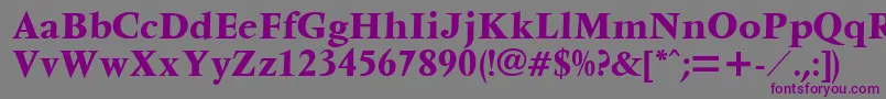 Шрифт Ventura – фиолетовые шрифты на сером фоне