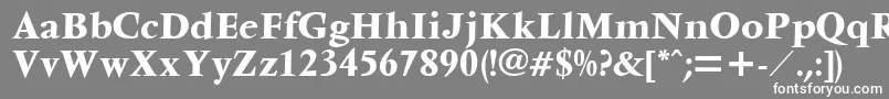 フォントVentura – 灰色の背景に白い文字