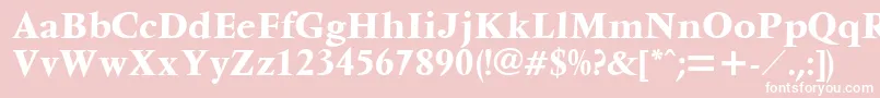 Ventura Font – White Fonts on Pink Background