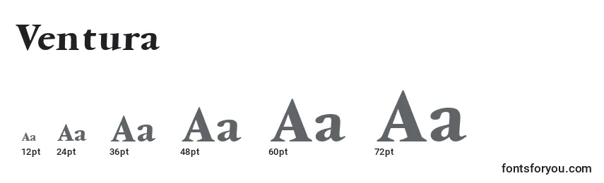 Размеры шрифта Ventura